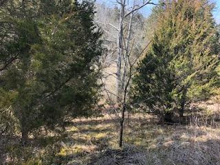 2163 Old Log Lick Road Winchester, KY 40391 - Photo 46 of 55 Photo 47