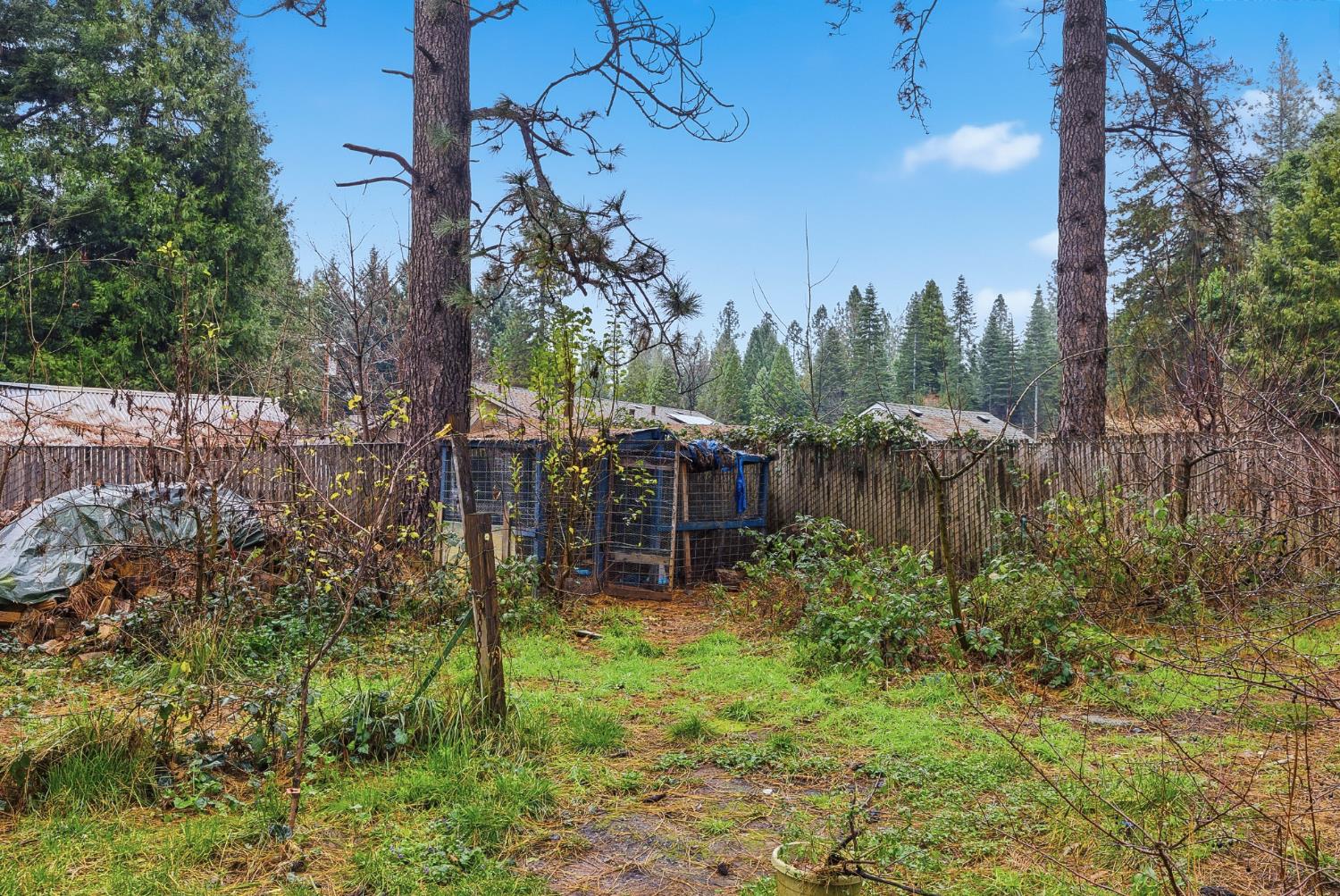 5855 Pine Street Foresthill, CA 95631 - Photo 28 of 32 a view of a garden