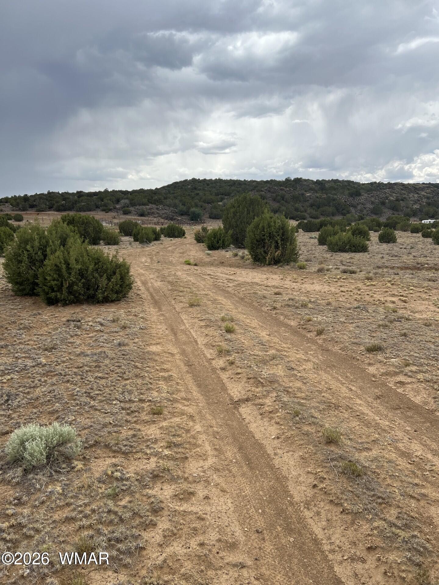 Tbd 8206 Concho, AZ 85924 - Photo 2 of 12