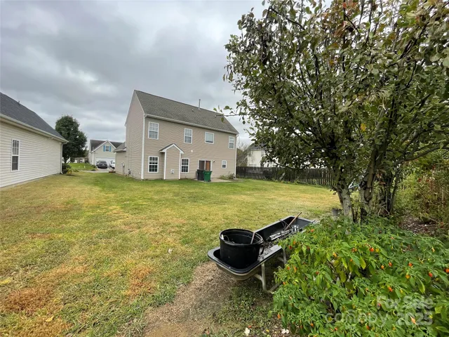 a view of a flower in a garden