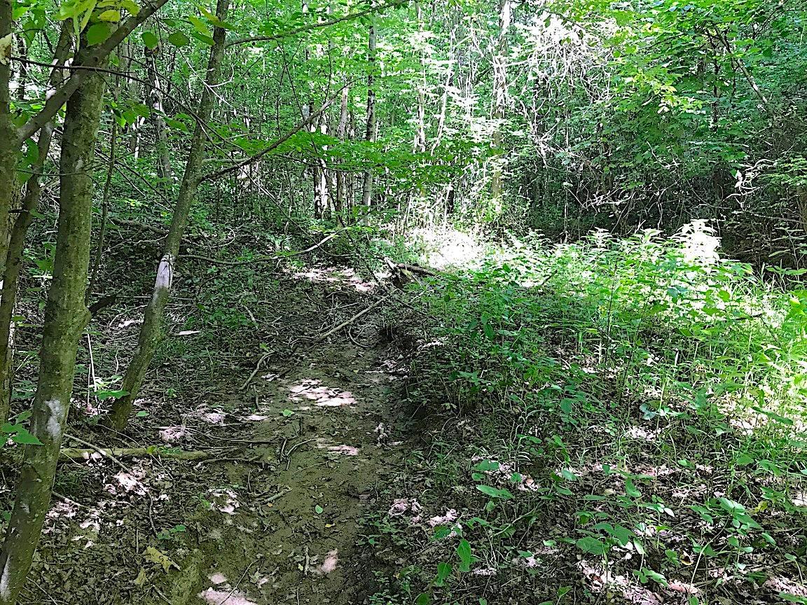 0 Jefferson Furnace Road Oak Hill, OH 45656 - Photo 17 of 36