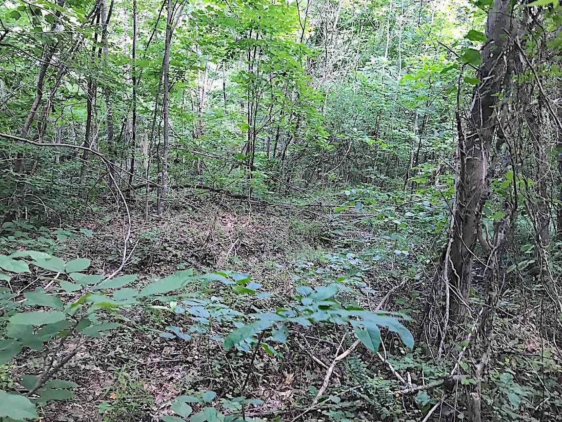 0 Jefferson Furnace Road Oak Hill, OH 45656 - Photo 27 of 36