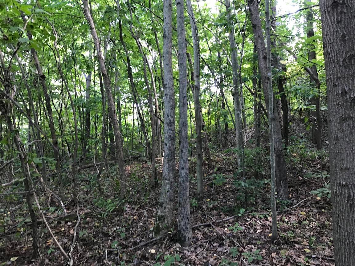 0 Jefferson Furnace Road Oak Hill, OH 45656 - Photo 34 of 36