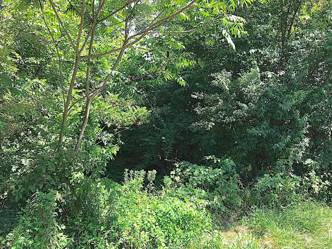 0 Jefferson Furnace Road Oak Hill, OH 45656 - Photo 5 of 36