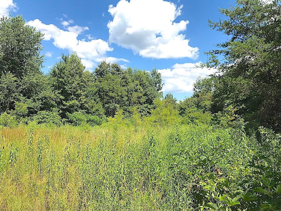0 Jefferson Furnace Road Oak Hill, OH 45656 - Photo 9 of 36