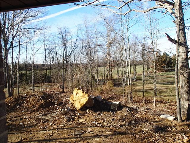 68 Forest Ridge Murfreesboro, TN 37128 - Photo 2 of 9