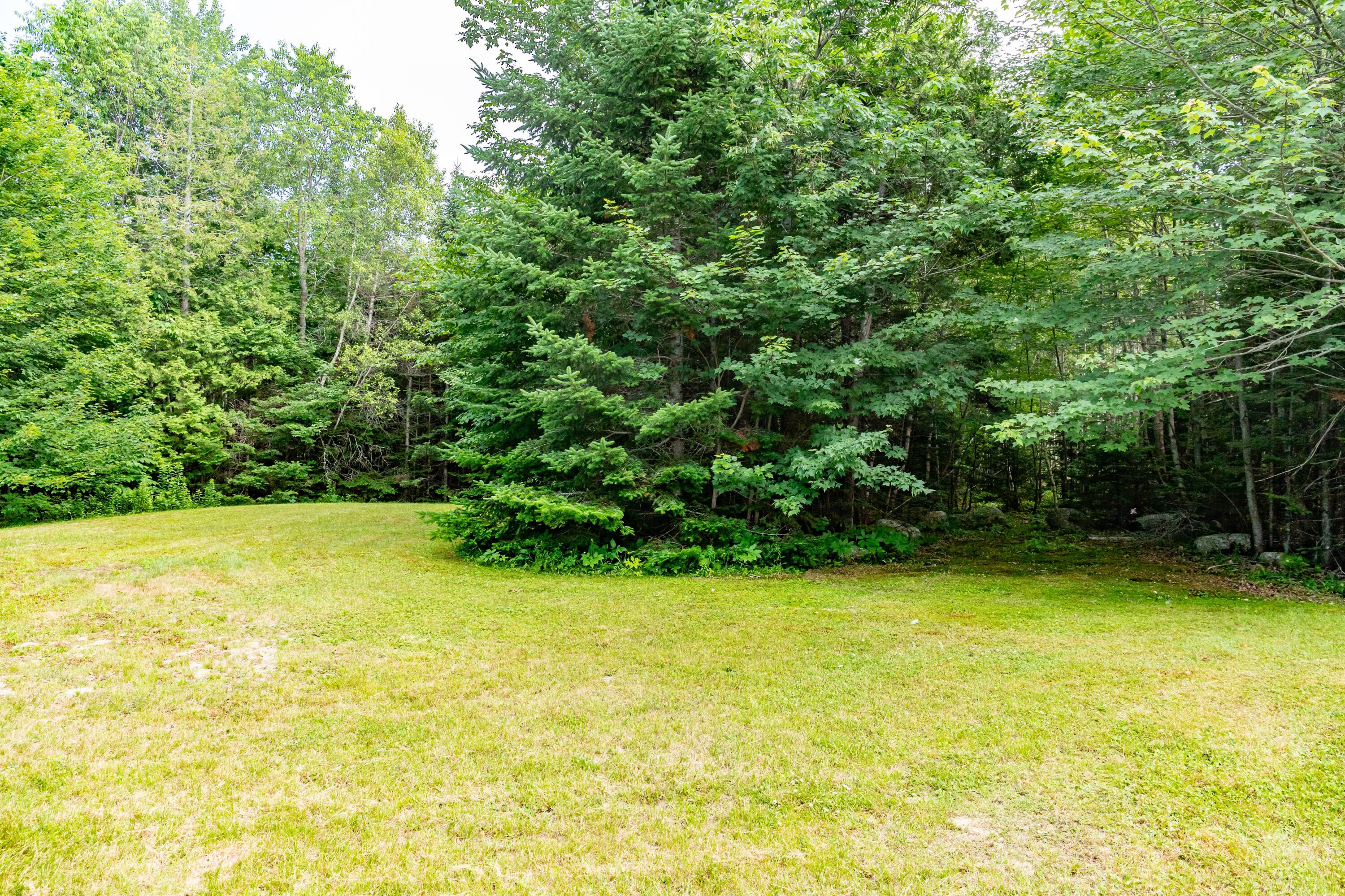 36 Tamarac Road Ellsworth, ME 04605 - Photo 43 of 58 Backyard