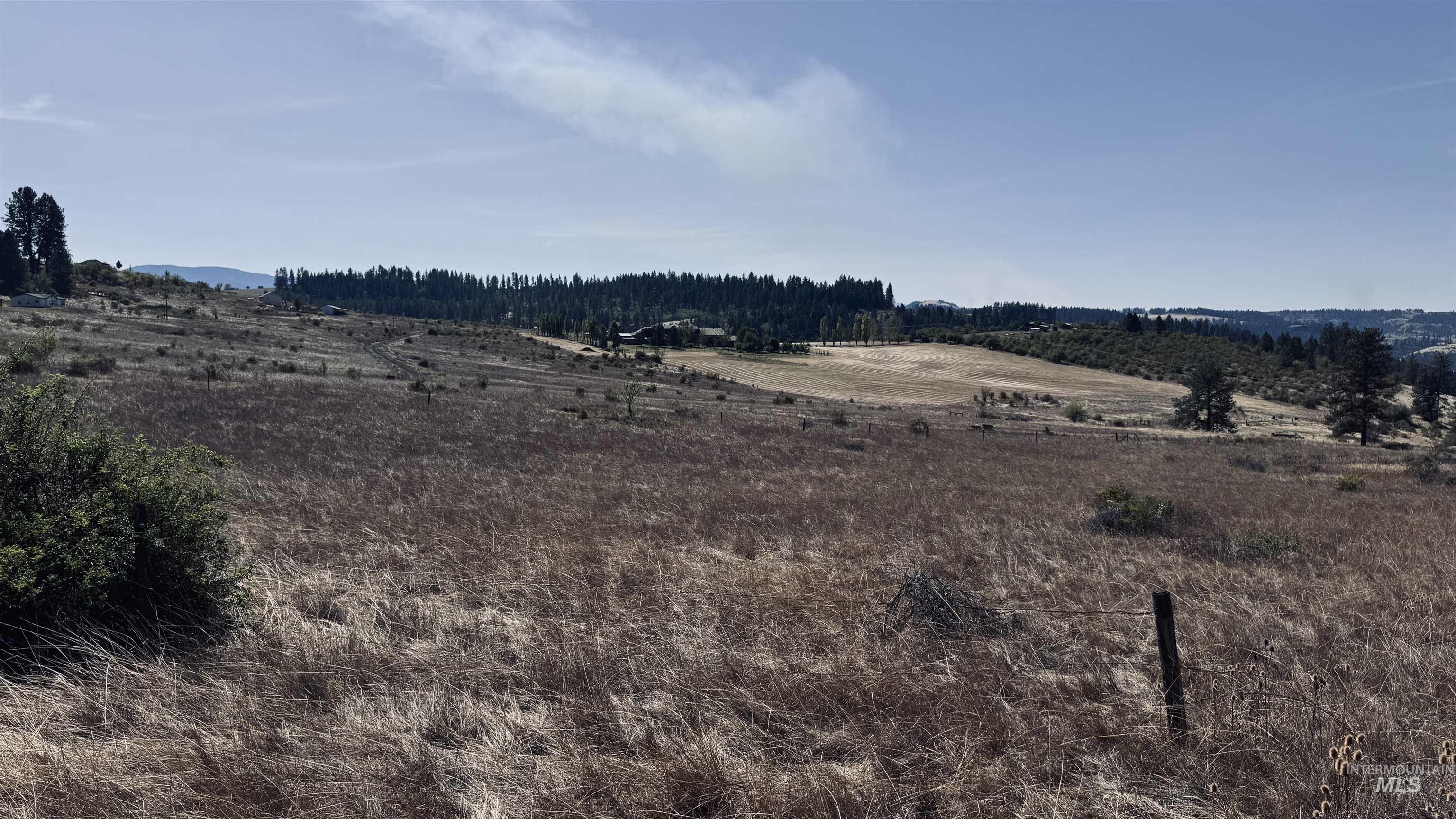 Tbd Dalton Acres Road Stites, ID 83552 - Photo 21 of 50 Gallery Image 21
