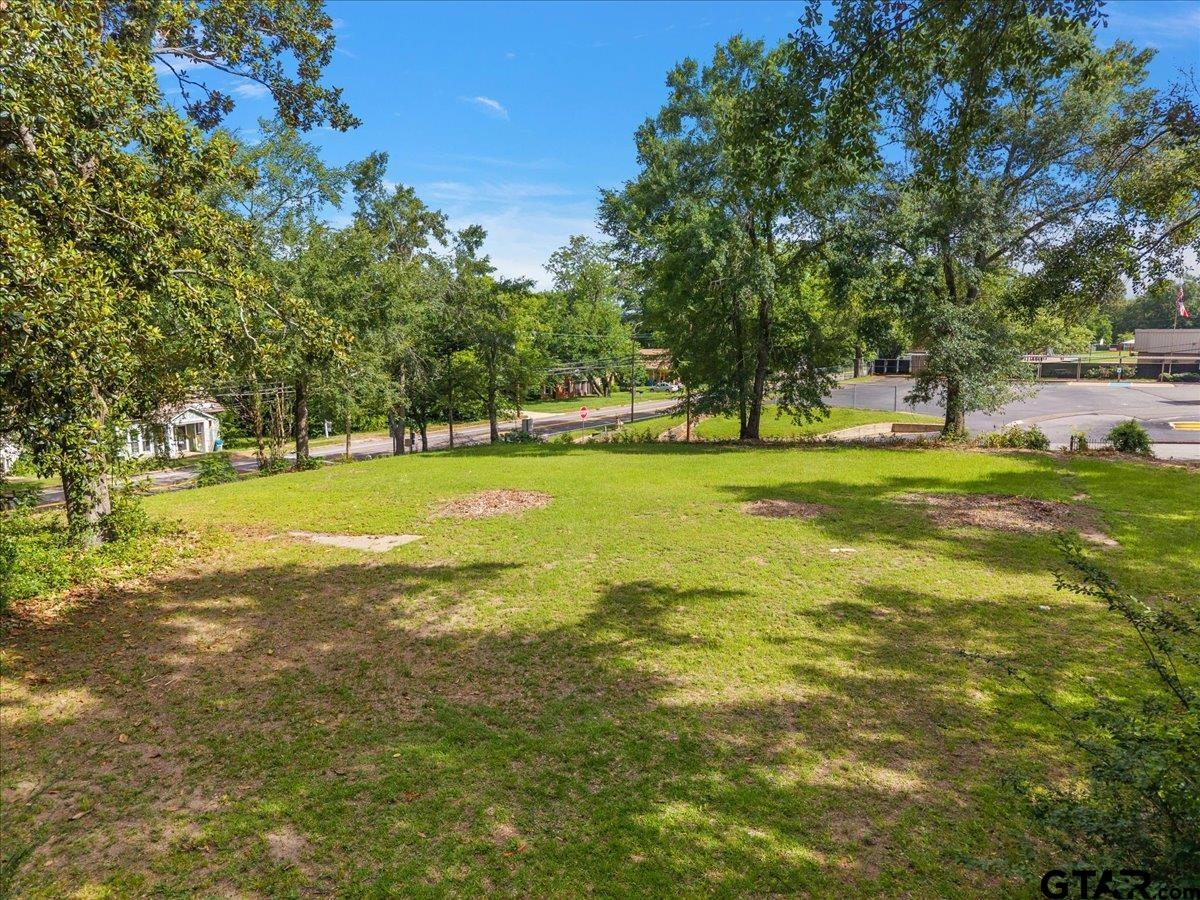 262 North Henderson Street Rusk, TX 75785 - Photo 6 of 11