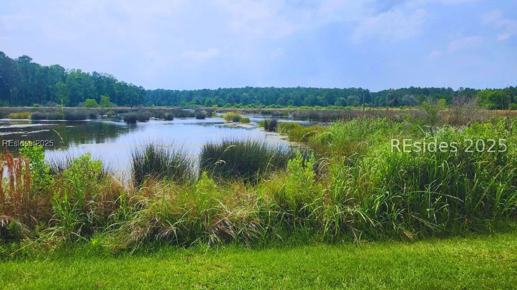 824 Bridle Path Boulevard Hardeeville, SC 29927 - Photo 4 of 6