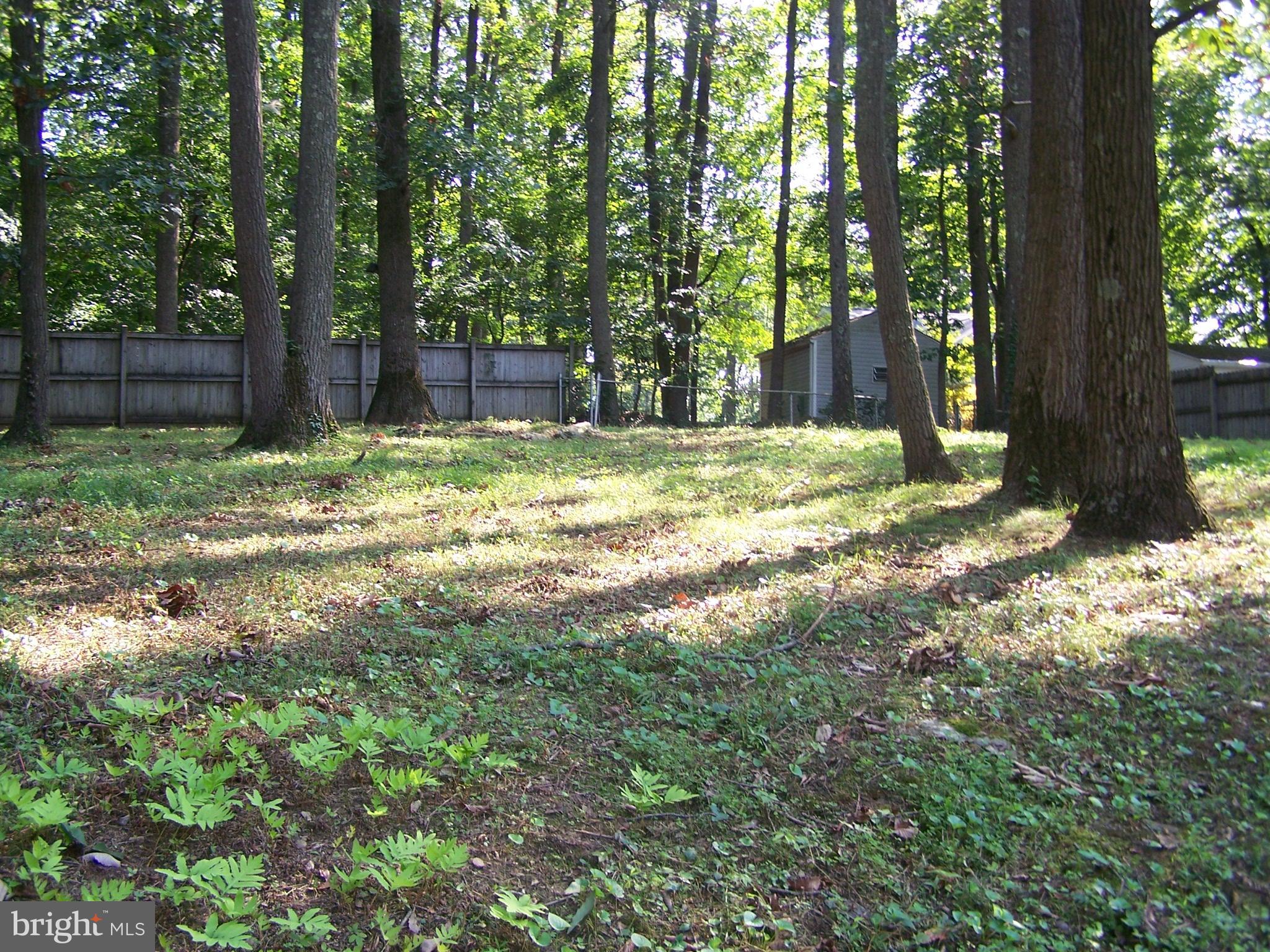 2603 Carrollton Road Finksburg, MD 21048 - Photo 37 of 37 Back Yard