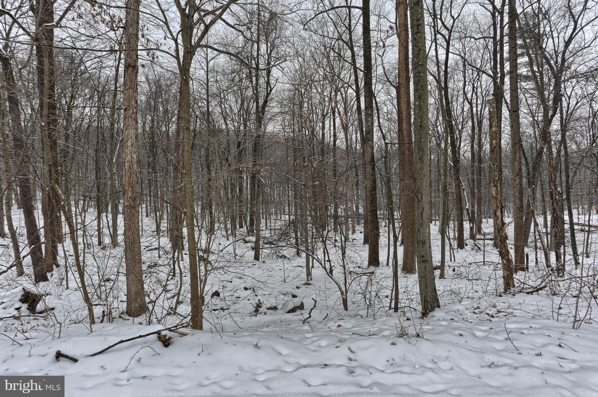 60 Old Mine Road Lebanon, PA 17042 - Photo 32 of 59 Gallery Image 32