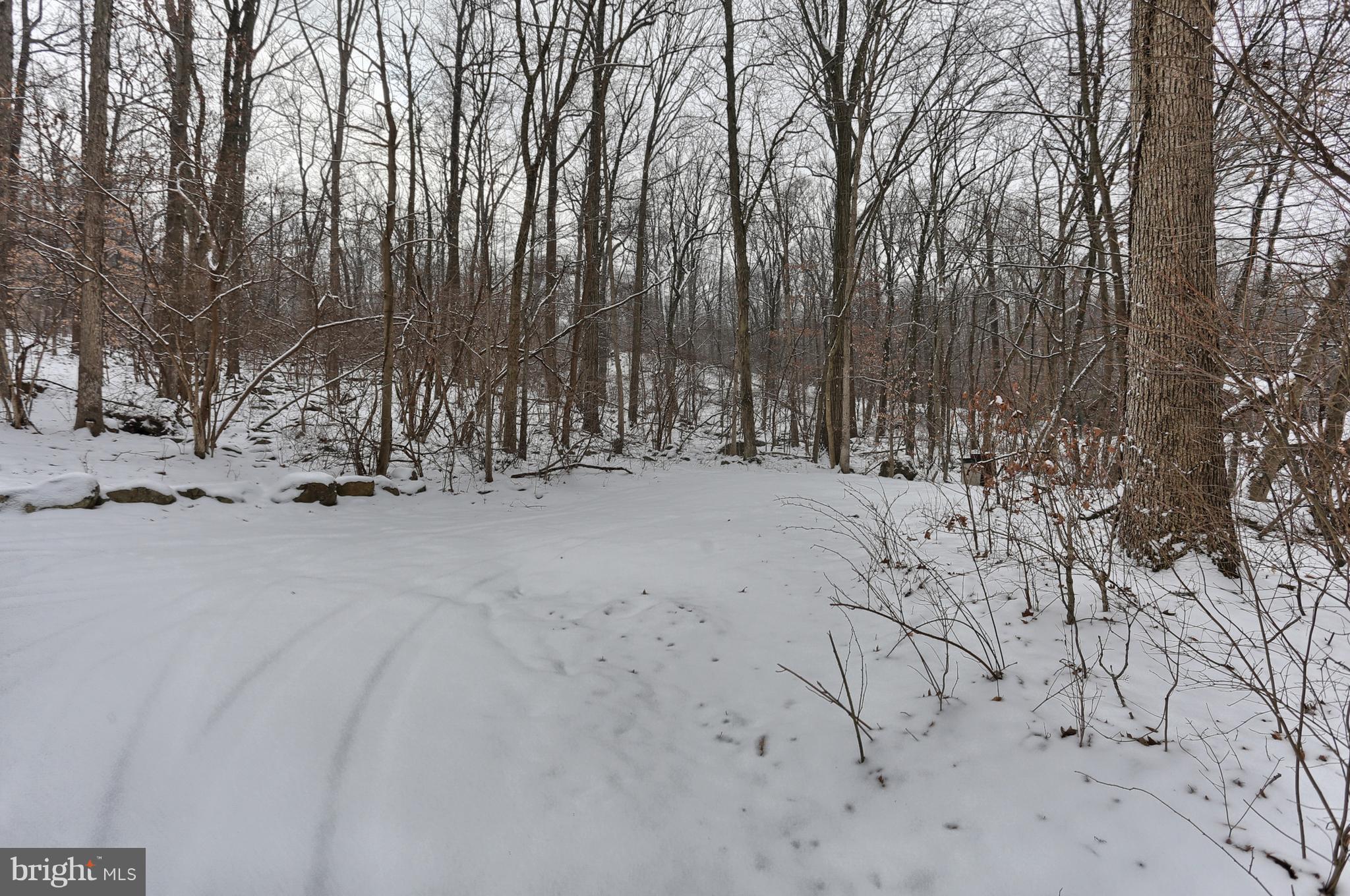 60 Old Mine Road Lebanon, PA 17042 - Photo 39 of 59 Gallery Image 39