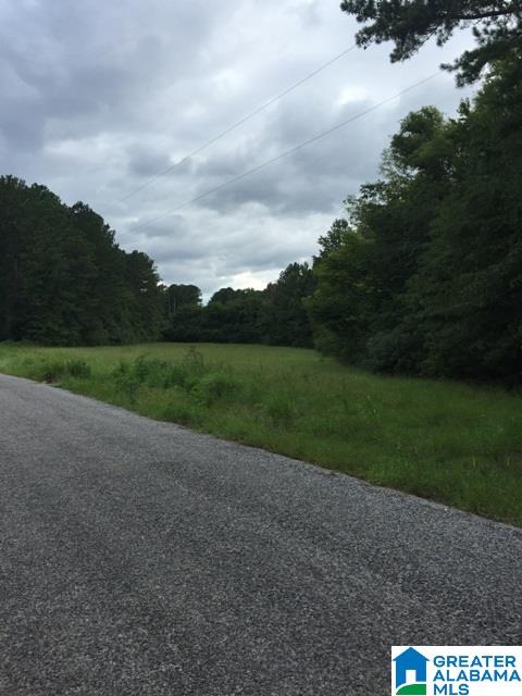 0 Barclay Road, Unit 2 Alpine, AL 35014 - Photo 1 of 16 Gallery Image 1