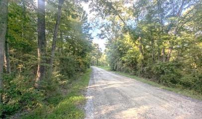 2127 Old Field Road Rock Hill, SC 29730 - Photo 2 of 10 a view of a forest with trees in front of it