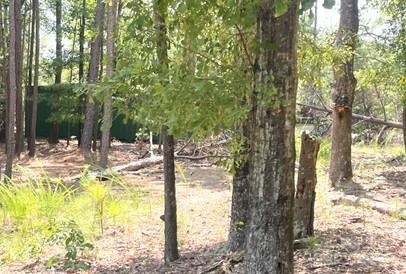 2127 Old Field Road Rock Hill, SC 29730 - Photo 3 of 10 a view of a yard with trees in the background