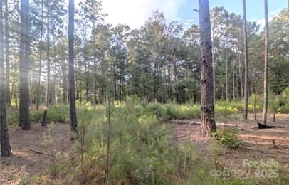 2127 Old Field Road Rock Hill, SC 29730 - Photo 4 of 10 a view of a forest with a trees
