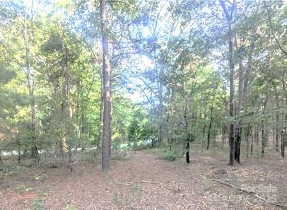 2127 Old Field Road Rock Hill, SC 29730 - Photo 5 of 10 a view of a forest