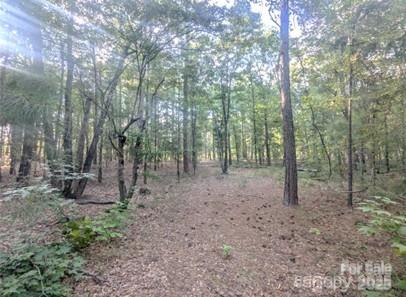 2127 Old Field Road Rock Hill, SC 29730 - Photo 6 of 10 a view of a forest with trees in the background