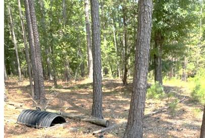 2127 Old Field Road Rock Hill, SC 29730 - Photo 7 of 10 a view of a yard with plants and trees