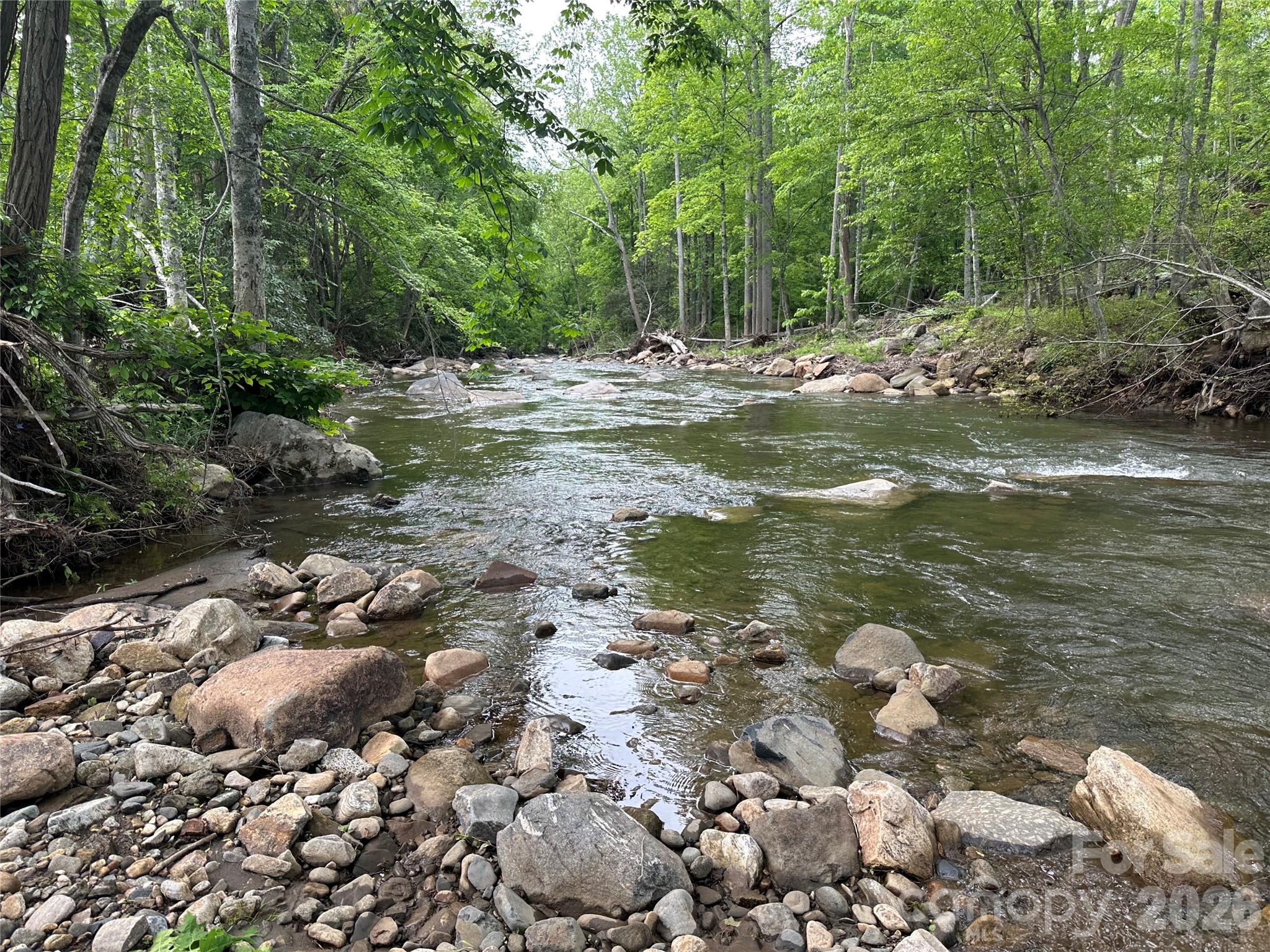 0 Pumpkin Patch Road Bakersville, NC 28705 - Photo 11 of 42