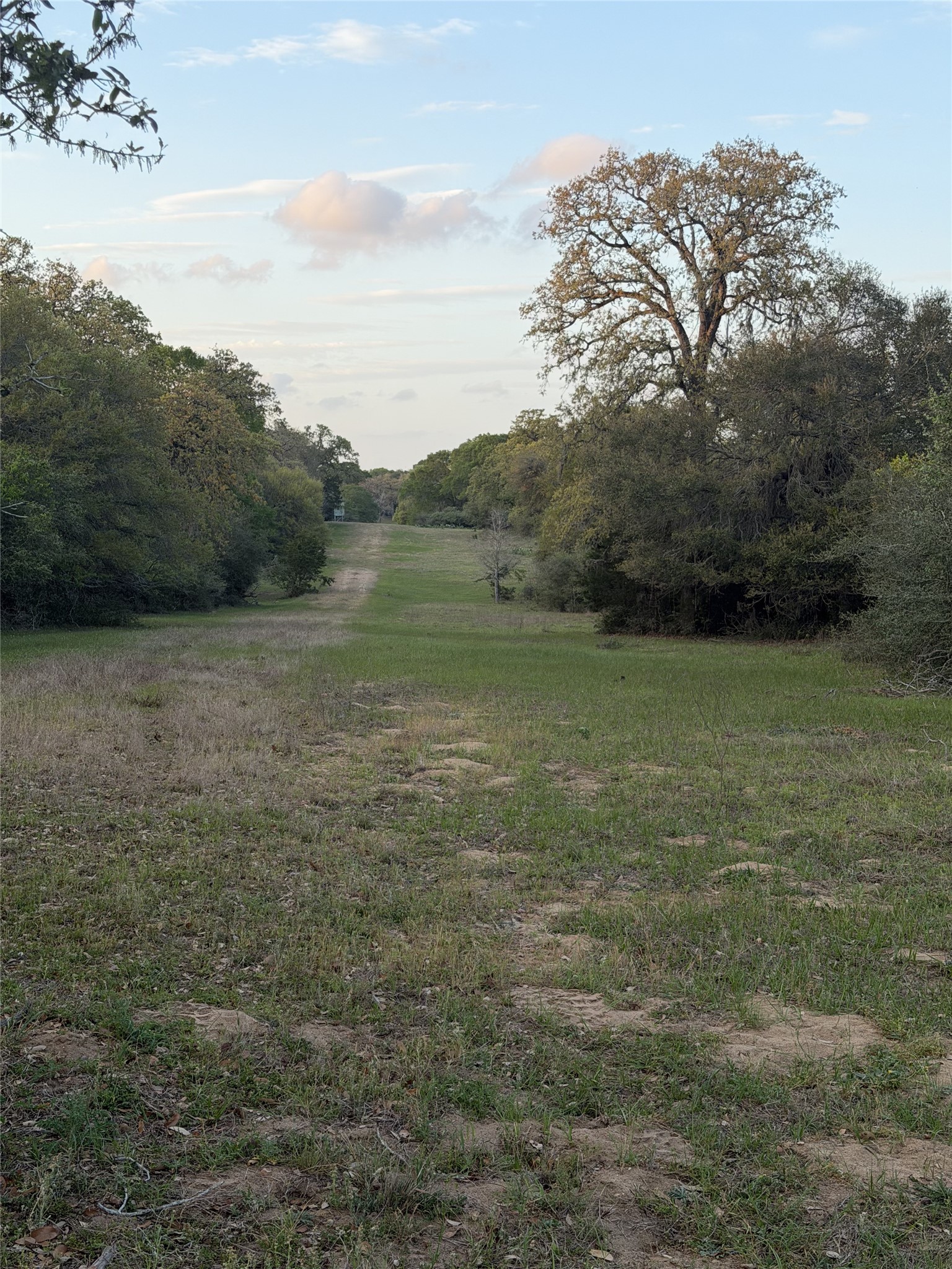 1743 Zimmerscheidt Road New Ulm, TX 78950 - Photo 8 of 13 a view of a lake with mountains in the background