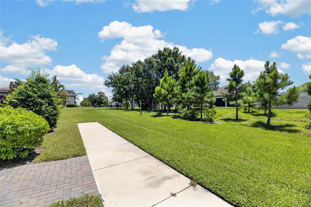5325 Stoic Vale Drive Wimauma, FL 33598 - Photo 54 of 87 Gallery Image 54
