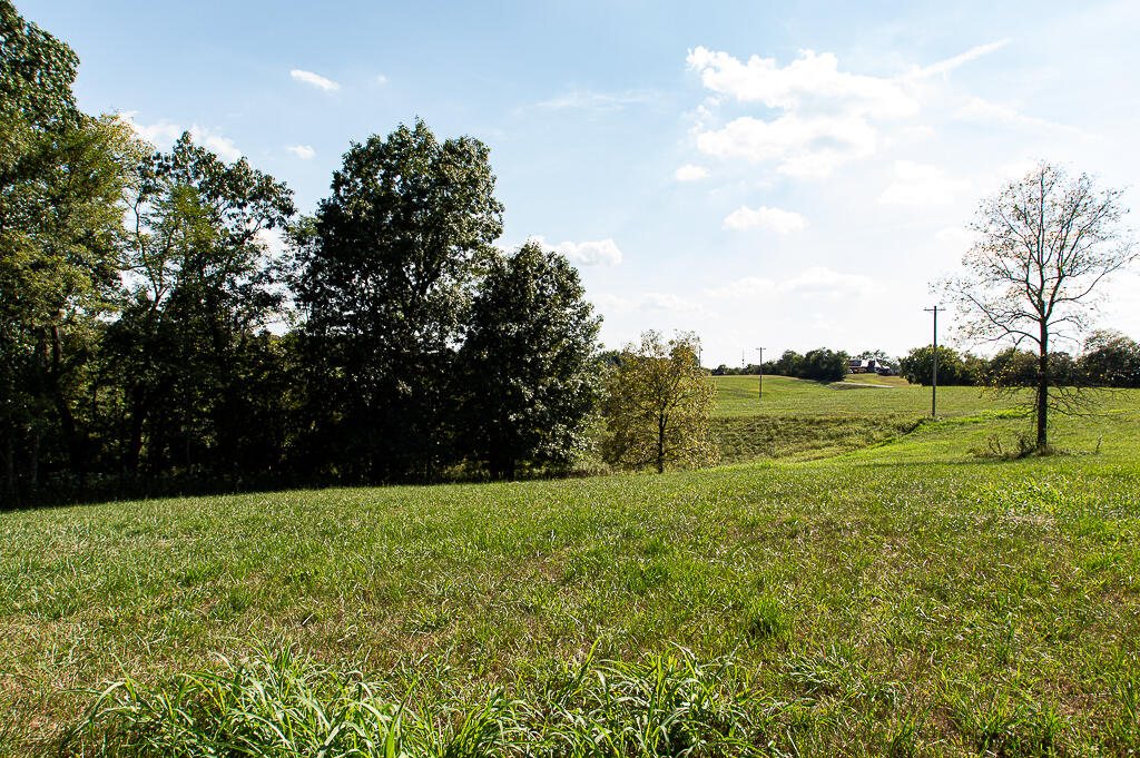 13200 Bald Knob Road Frankfort, KY 40601 - Photo 33 of 61 DSC_8479