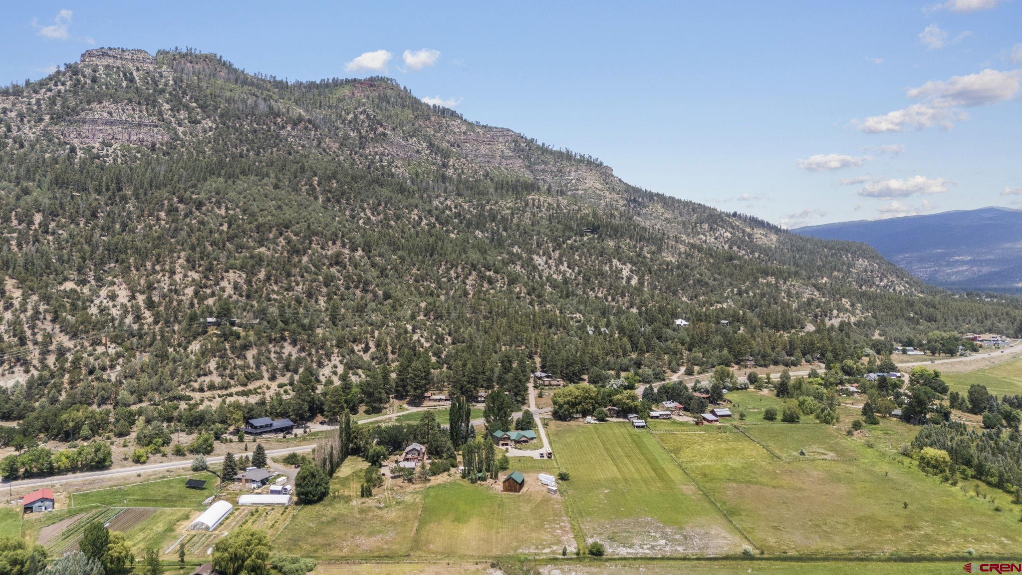 33140 Highway 550 Durango, CO 81301 - Photo 3 of 38 a view of a houses with a yard