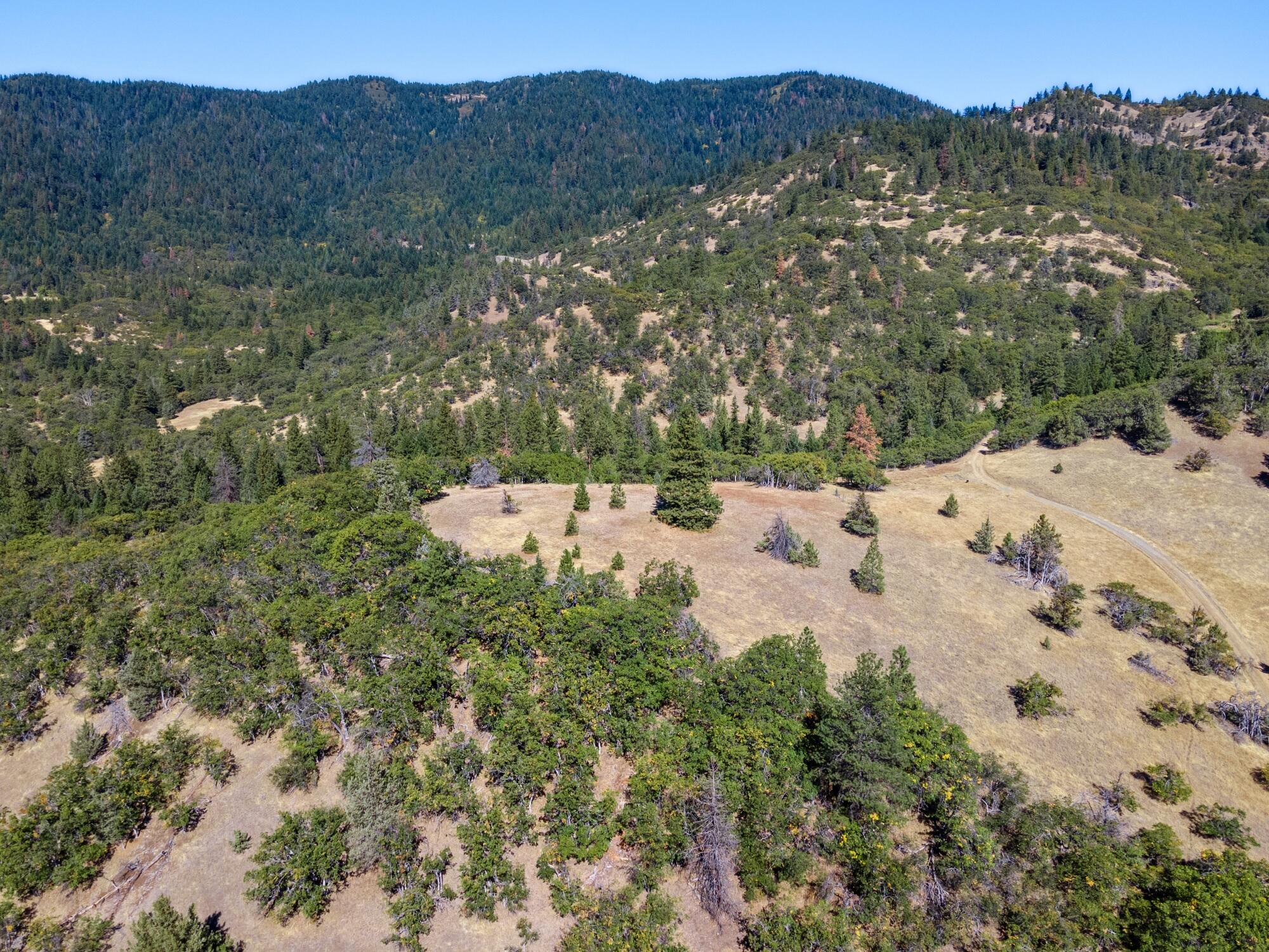 0 Colestin Road Ashland, OR 97520 - Photo 1 of 13 Aerial view