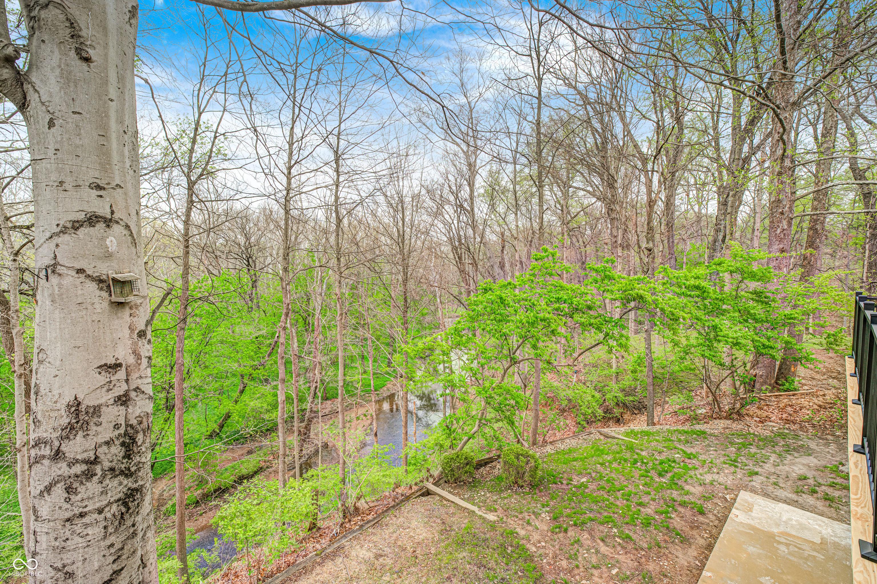 6908 Creek Ridge Trail Indianapolis, IN 46256 - Photo 54 of 64