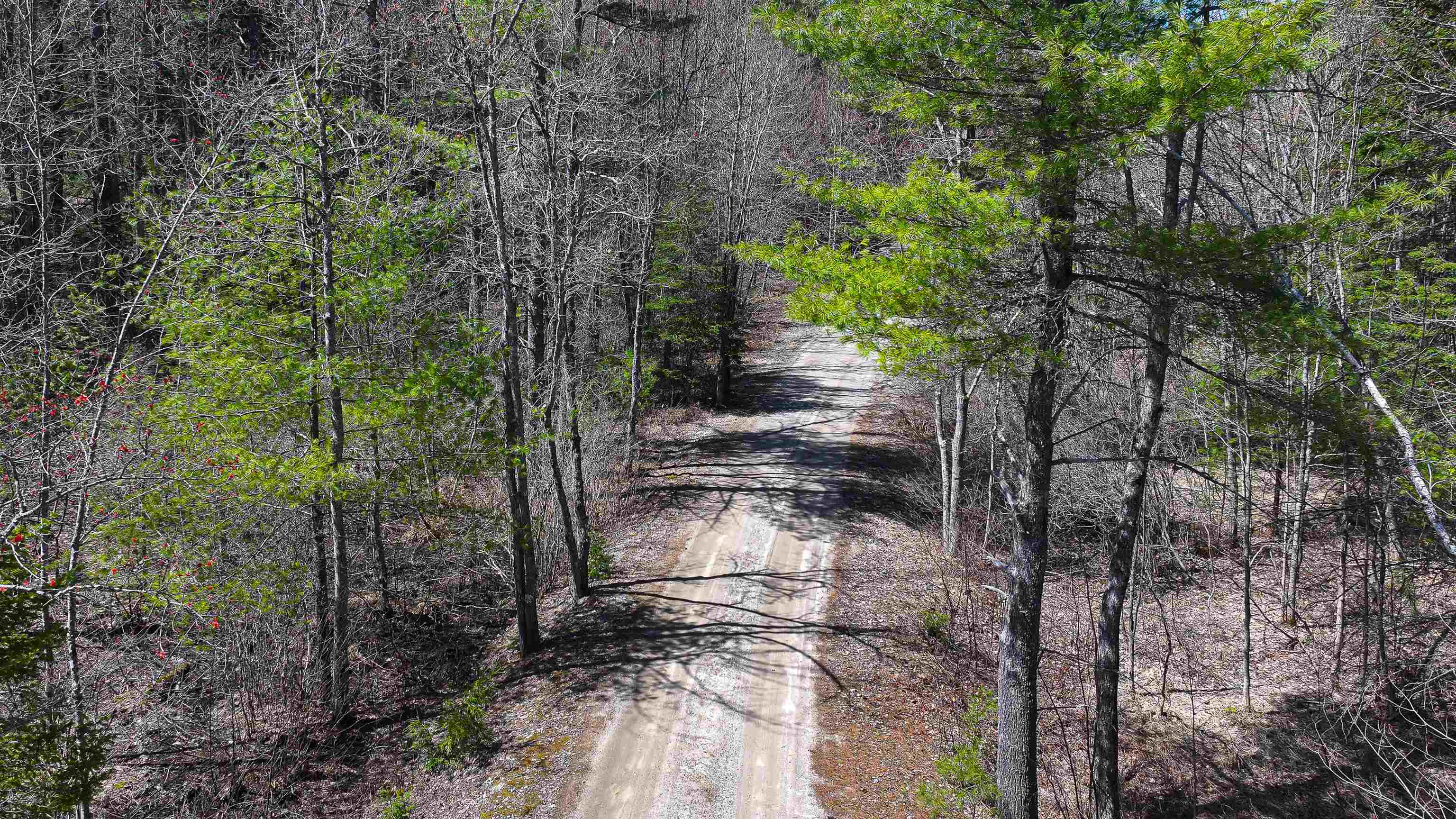 169 South Bridgton Road Bridgton, ME 04009 - Photo 41 of 49