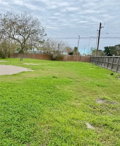 a view of a park with large trees