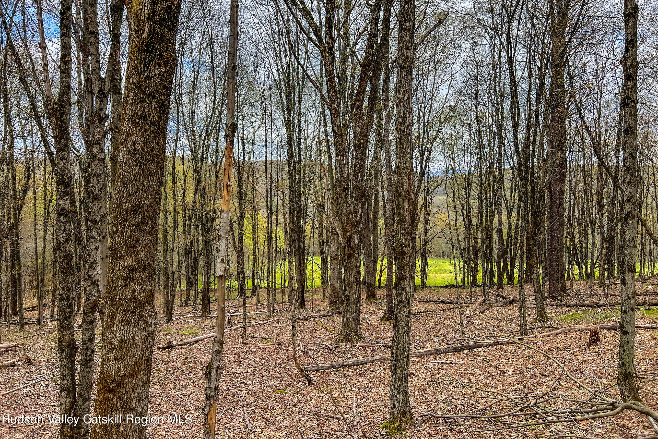 0 Brownell Road Bloomville, NY 13739 - Photo 17 of 39 23 acres Brownell Rd -- 015