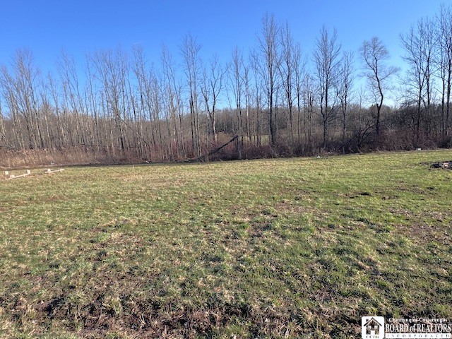 7203 Barber Road Chautauqua, NY 14728 - Photo 3 of 7