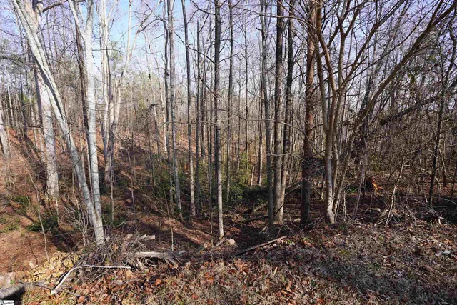 $175,000 | 445 Brandy Lane, Pickens, SC 29671