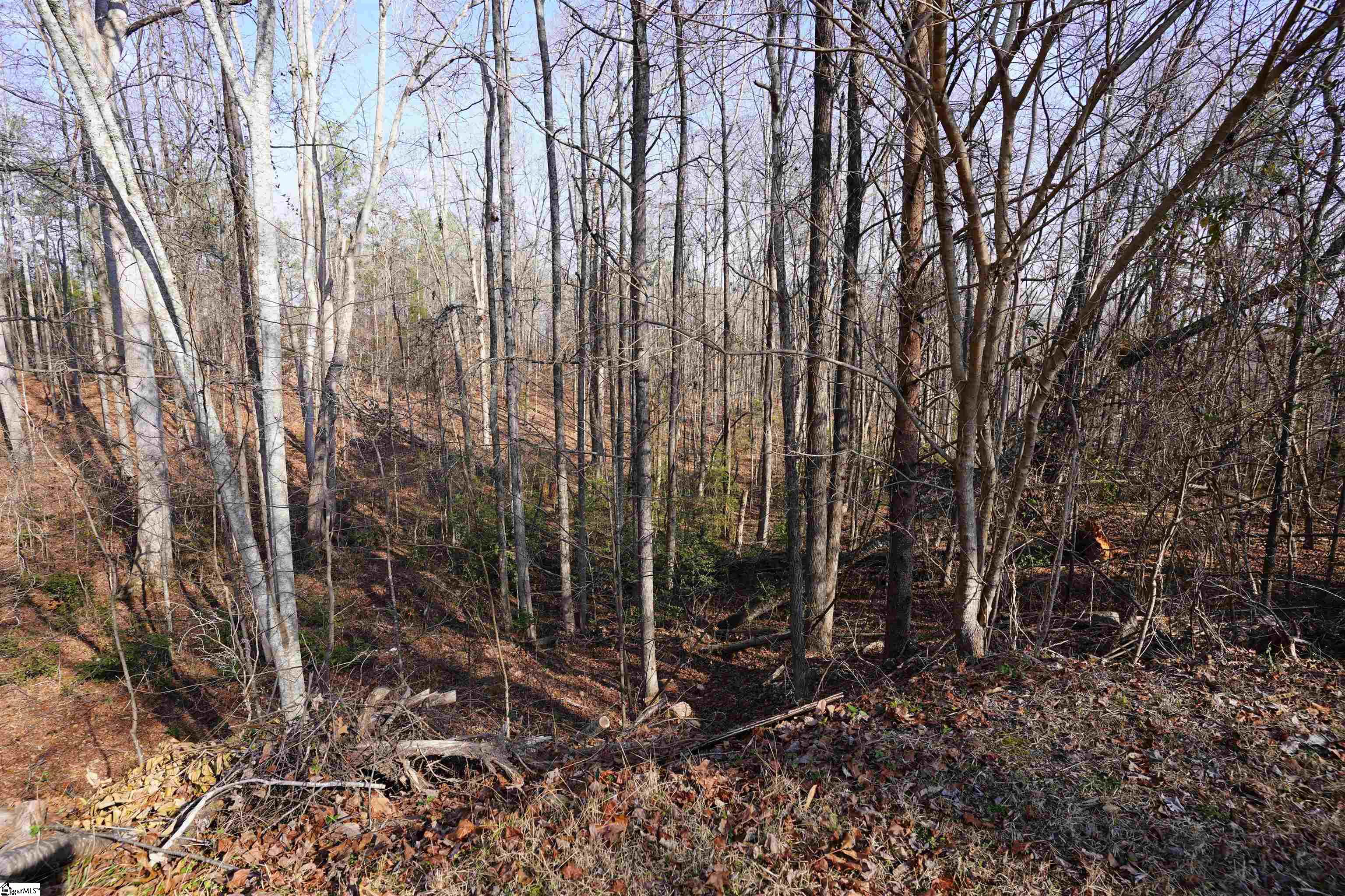 445 Brandy Lane Pickens, SC 29671 - Photo 16 of 24