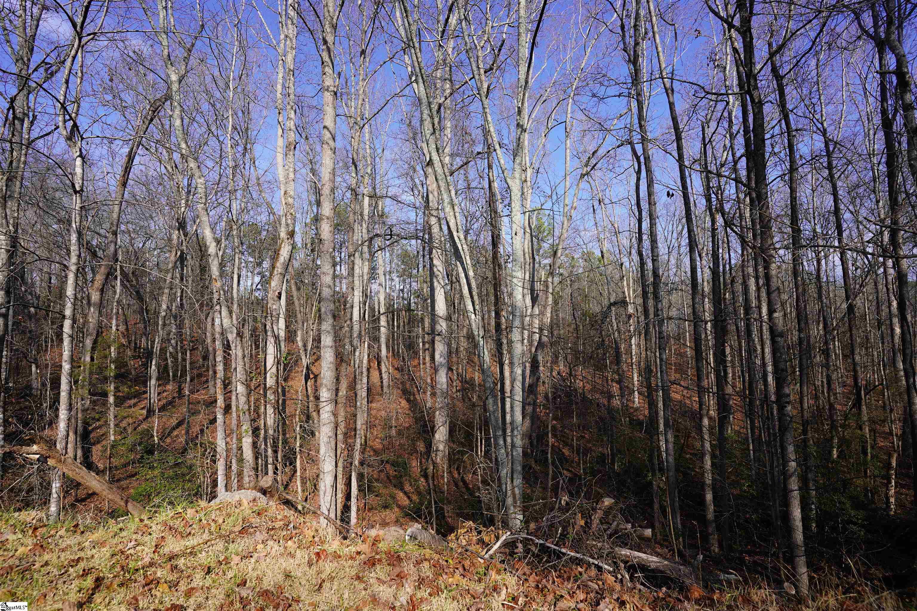 445 Brandy Lane Pickens, SC 29671 - Photo 17 of 24