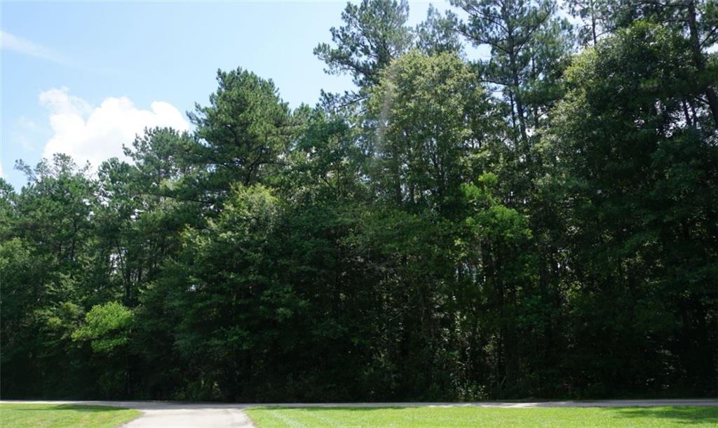 77250 Roubion Road Folsom, LA 70437 - Photo 3 of 6