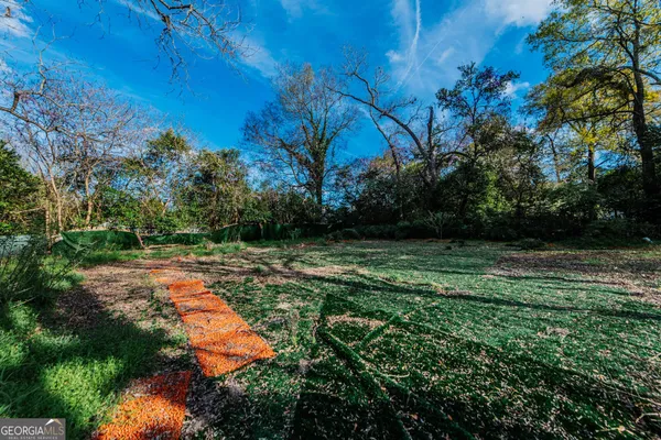 $249,999 | 59 Warren Street, Hawkinsville, GA 31036