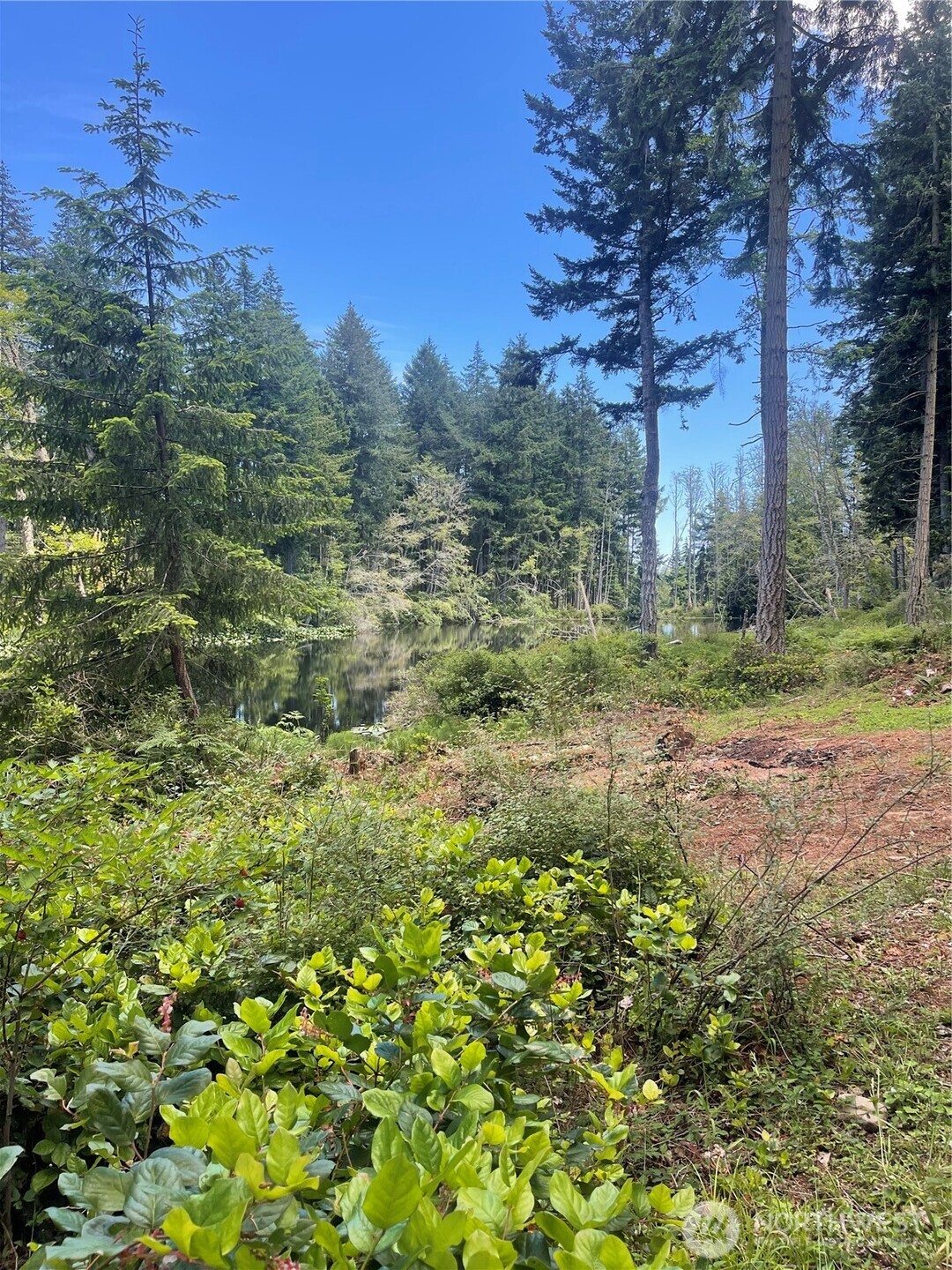0 Reef Net Road Friday Harbor, WA 98250 - Photo 5 of 40