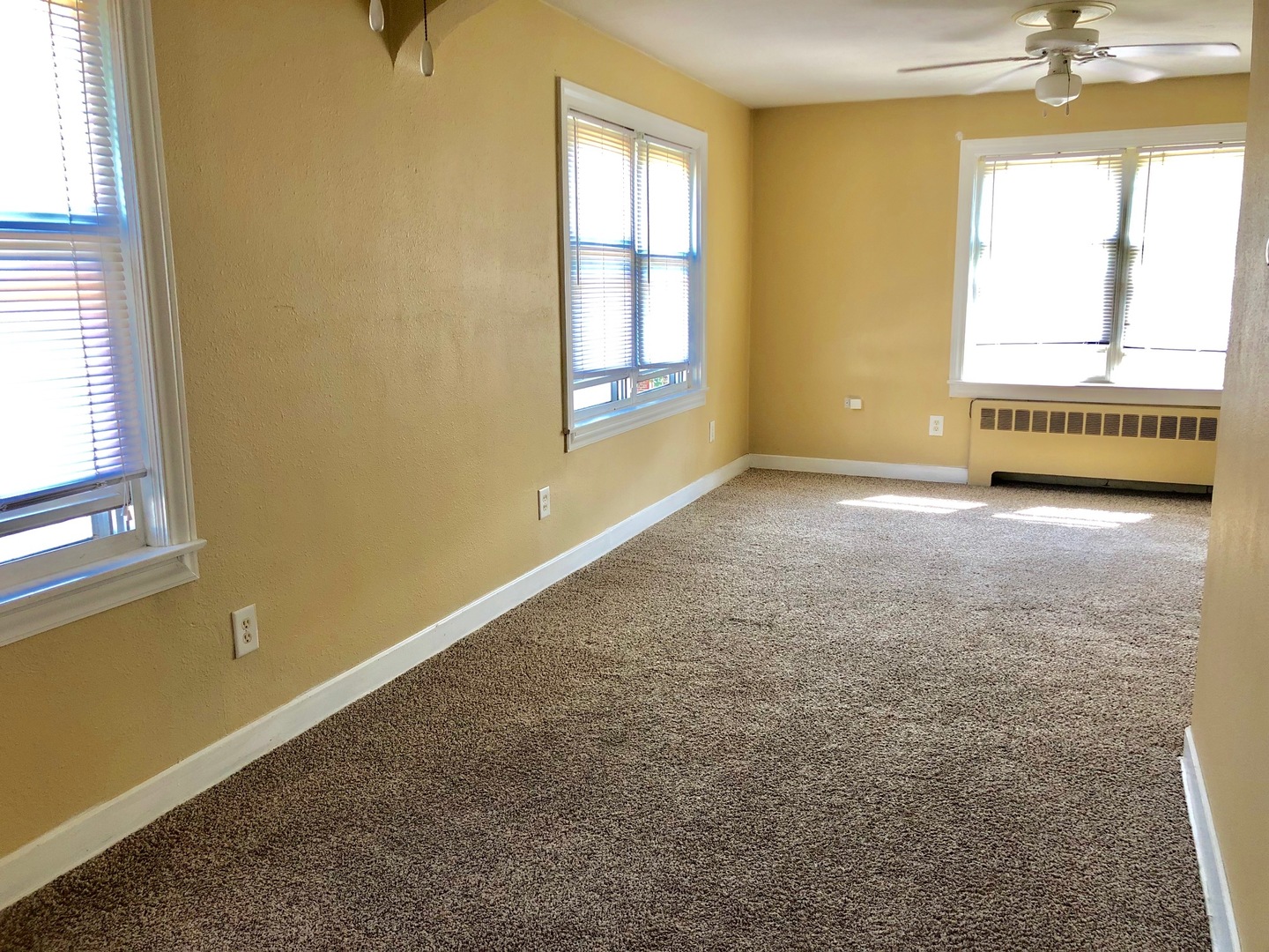 1111 Lincoln Street, Unit 2 Lockport, IL 60441 - Photo 6 of 13 an empty room with windows