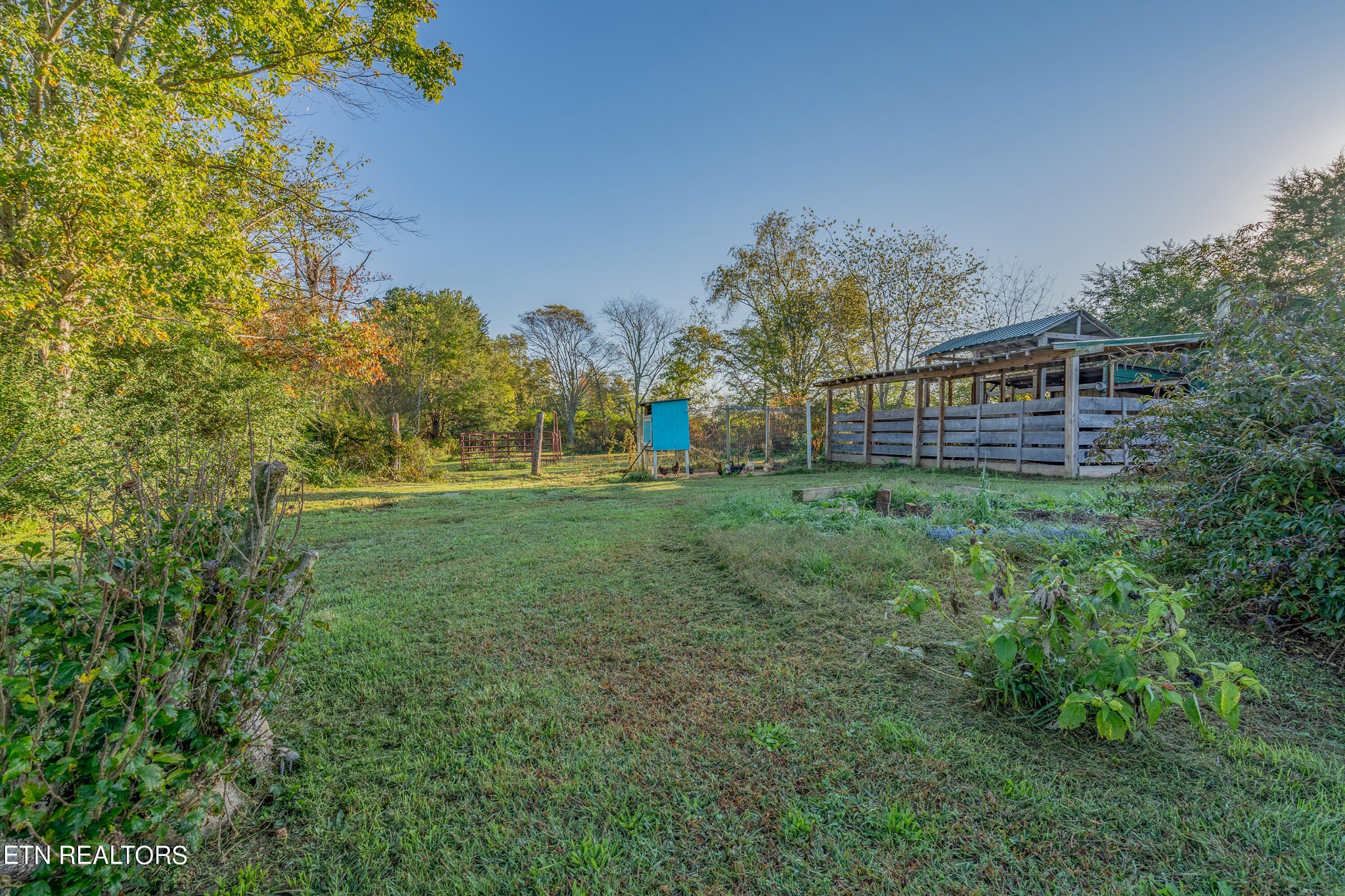 130 V F W Road Sunbright, TN 37872 - Photo 23 of 23 a view of a house with a yard