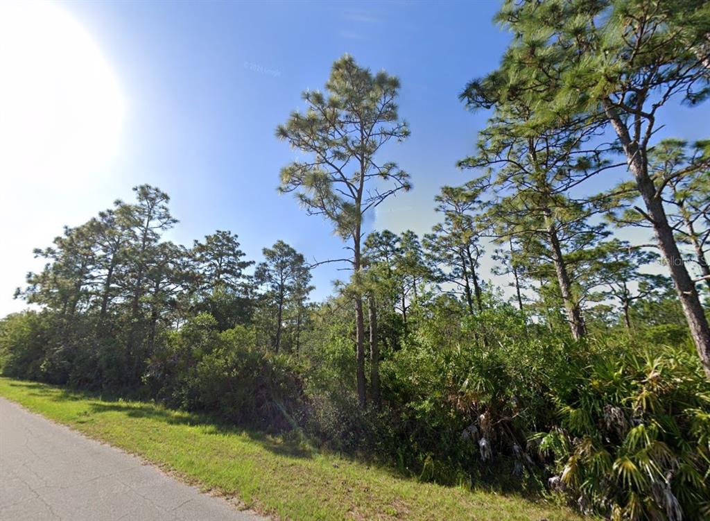 19665 Ralston Street Orlando, FL 32833 - Photo 2 of 13 a view of a yard