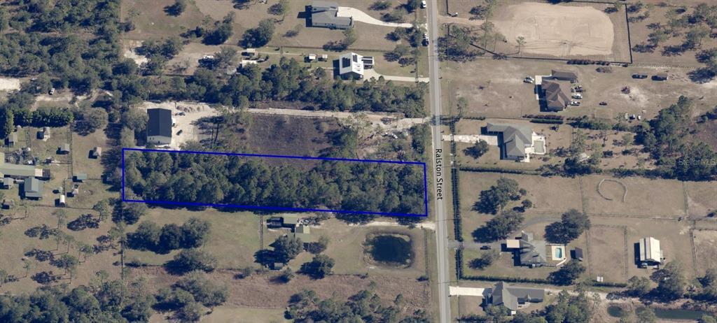 19665 Ralston Street Orlando, FL 32833 - Photo 8 of 13