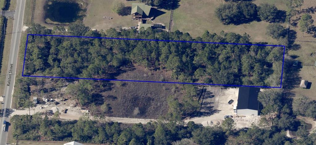 19665 Ralston Street Orlando, FL 32833 - Photo 9 of 13 an aerial view of a houses covered by trees