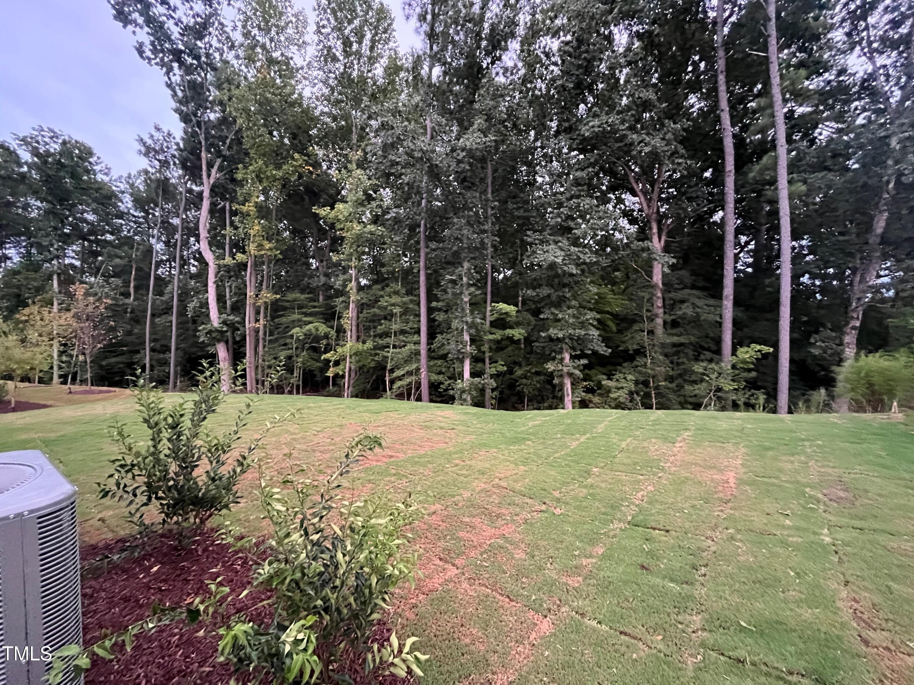 5108 River Sand Trail Raleigh, NC 27604 - Photo 49 of 59 Backyard view