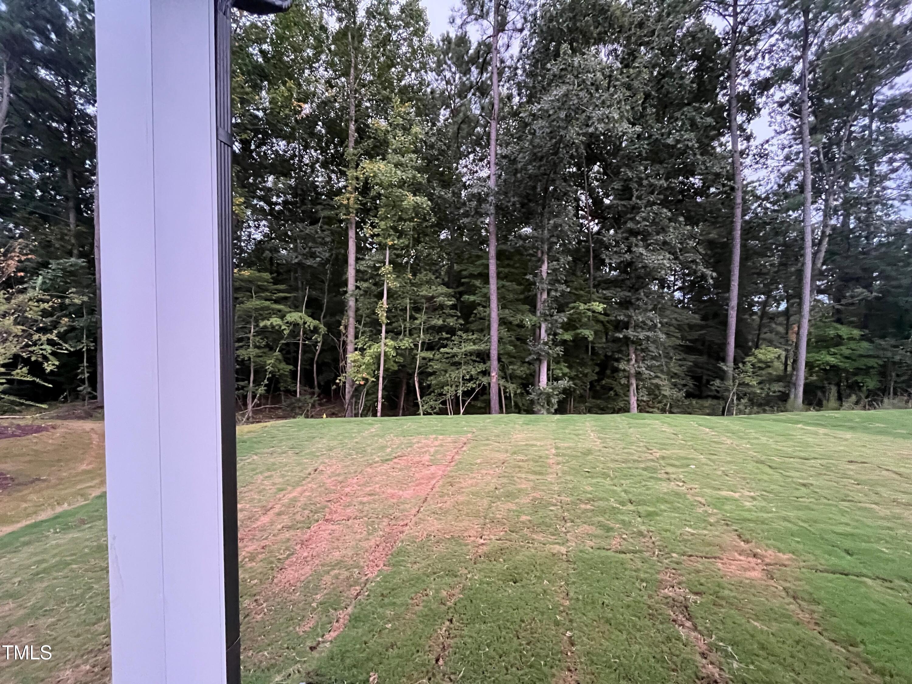 5108 River Sand Trail Raleigh, NC 27604 - Photo 5 of 59 a view of a yard with a trees