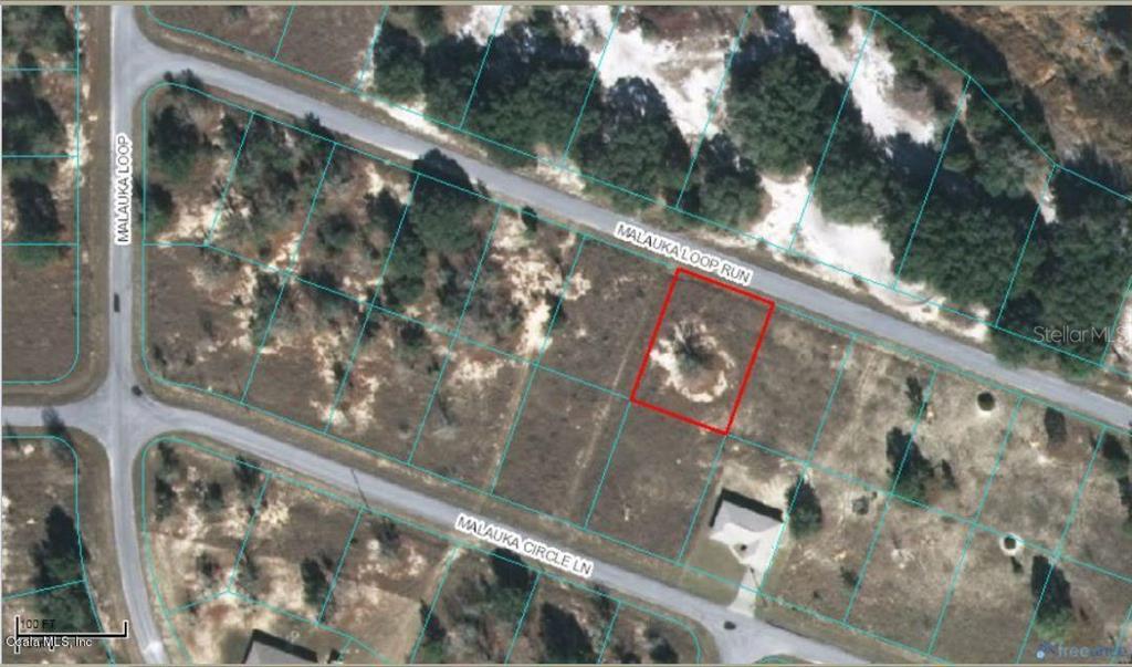 Lot 21 Malauka Loop Run Road Ocklawaha, FL 32179 - Photo 1 of 1
