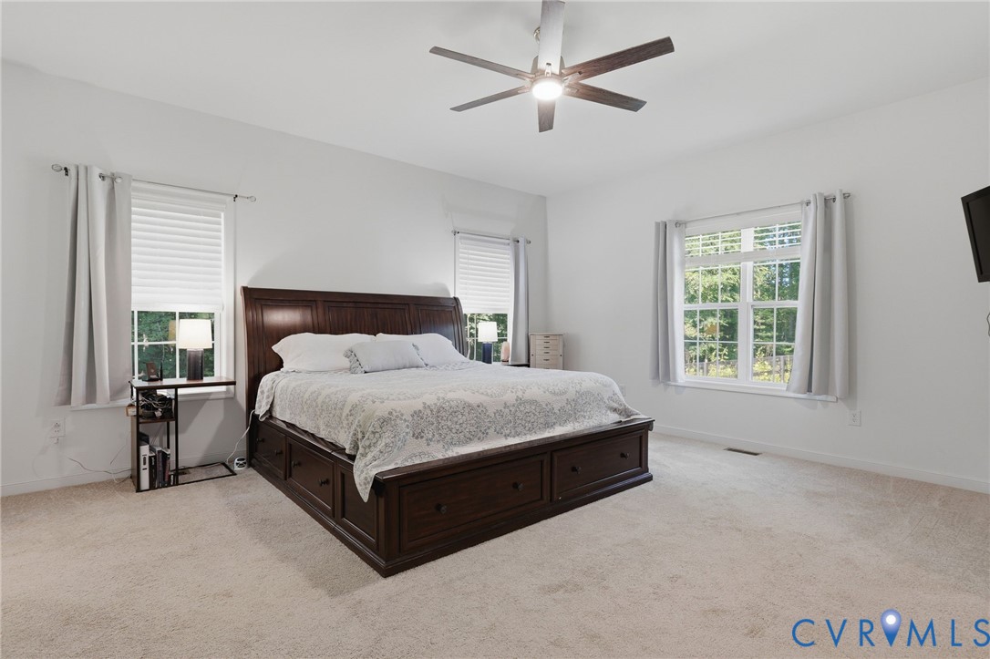 1495 Dominion Springs Road Powhatan, VA 23139 - Photo 23 of 49 spacious primary bedroom on main level, with walk-